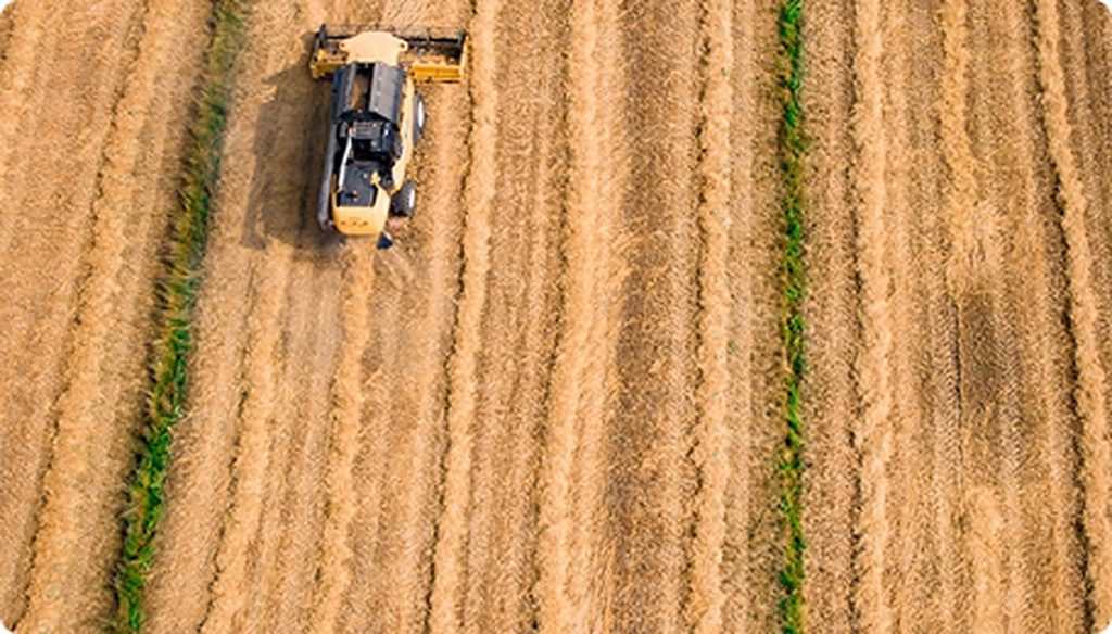 Aerial view of a combine harvester working a wheat field