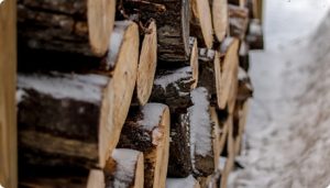 Stacked firewood logs covered in snow